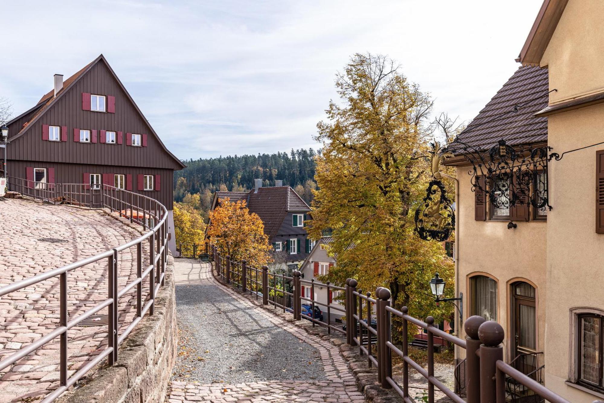 Ferienwohnungen Metzgerpost Altensteig Zewnętrze zdjęcie