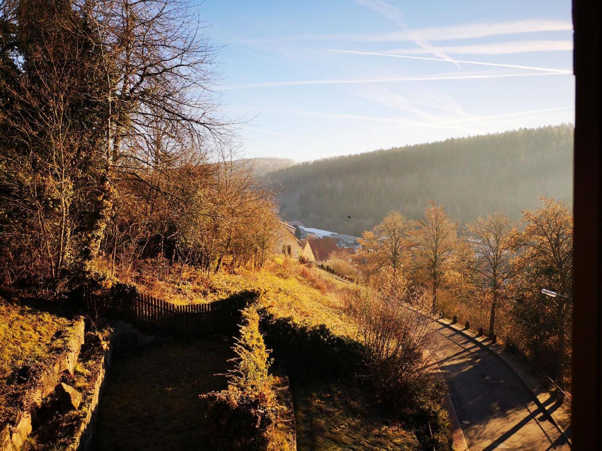 Ferienwohnungen Metzgerpost Altensteig Zewnętrze zdjęcie